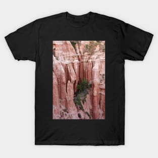 Red Ravine from the Carpathian mountains T-Shirt